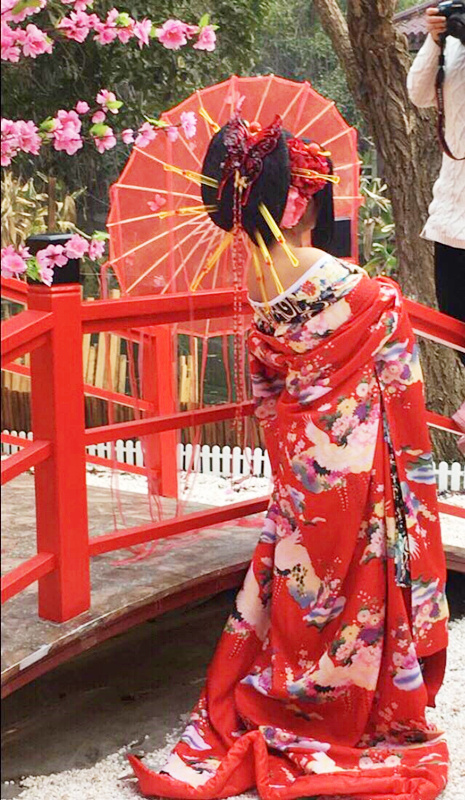 日本艺妓花魁和服套装大振袖cos写真舞台网红主播服装 可大批量