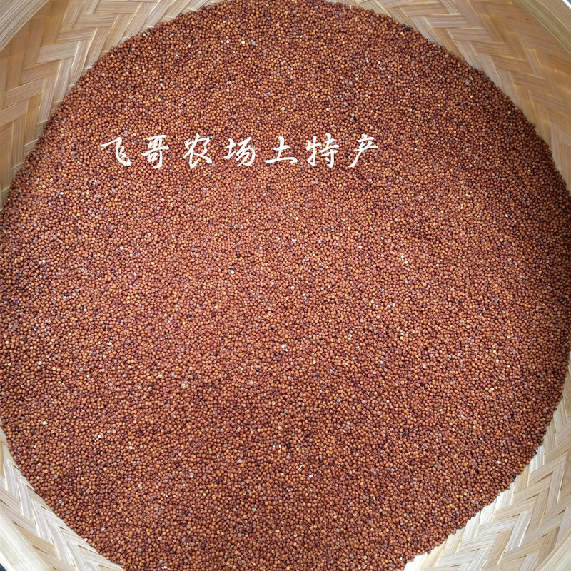 粟米新鲜包邮广西特产鸭脚龙爪鸡爪拳头米粒小米