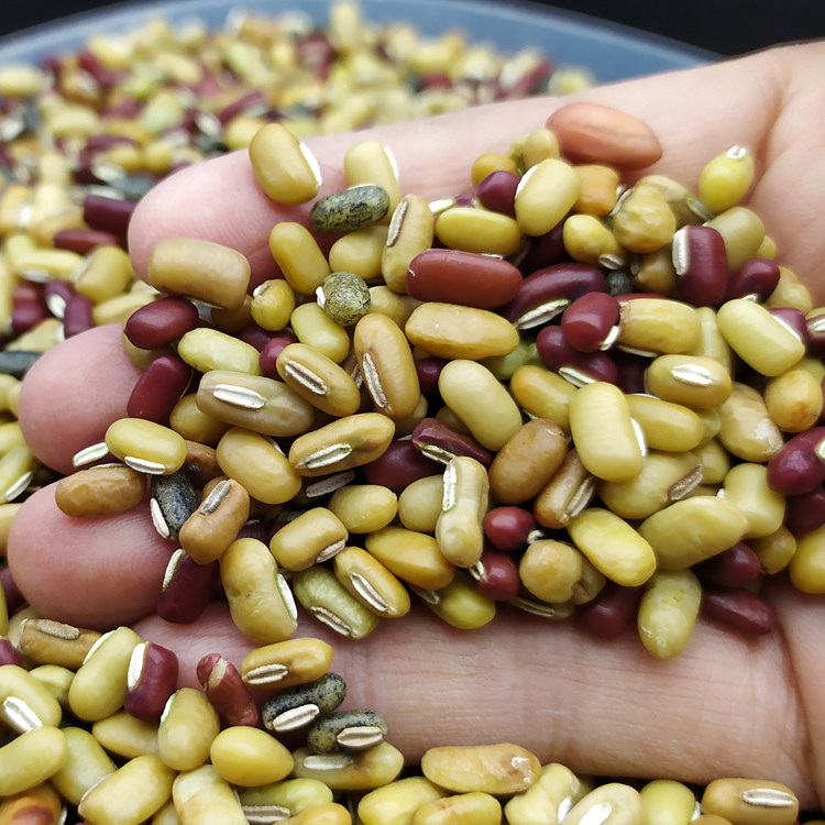 农家赤小豆饭豆自留种的老品种非红豆长粒500克五谷杂粮长寿之乡