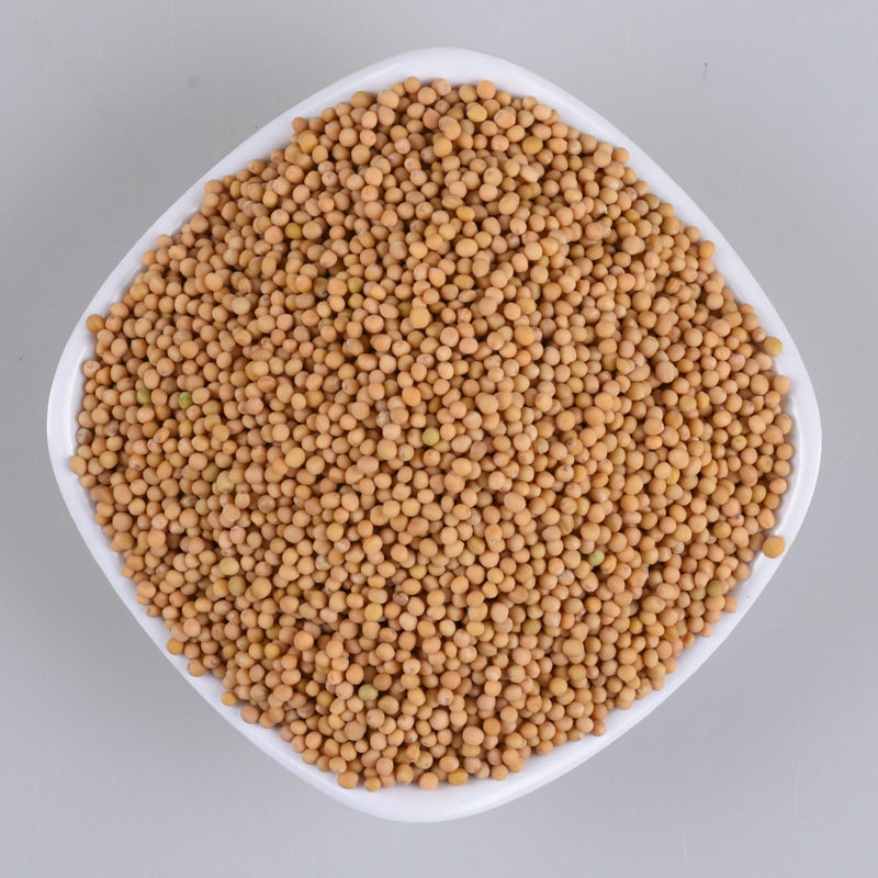 白芥子500克包邮野生中药材炒白芥子茶可磨白芥子粉种子非同仁堂