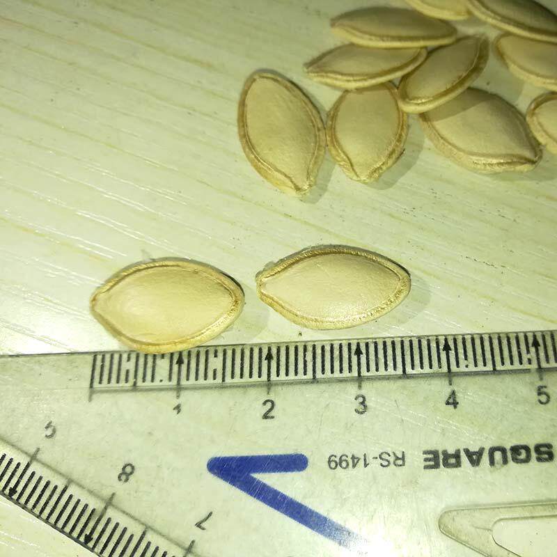 瓜子南瓜子生的新货5斤装南瓜籽香味巨型特大瓜子