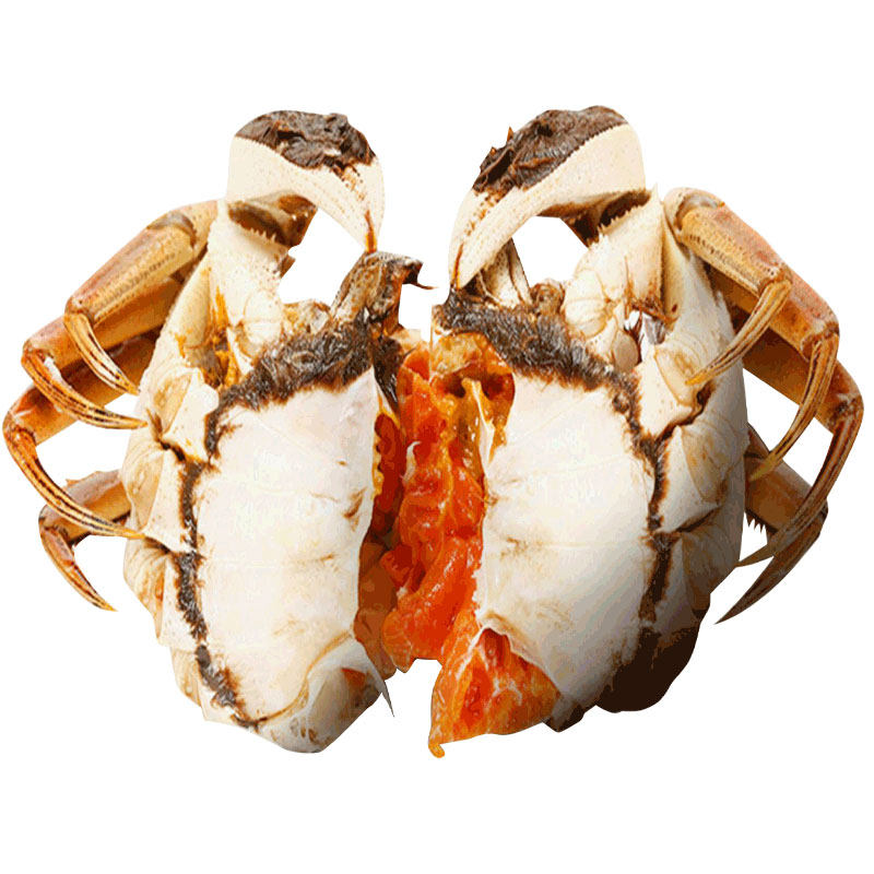 鲜活大闸蟹全母螃蟹3.0两12只特大现货阳澄湖镇新海鲜水产可公4两