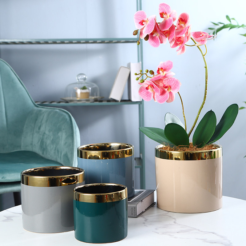 简约轻奢陶瓷花盆电镀金边家用创意高端蝴蝶兰花盆