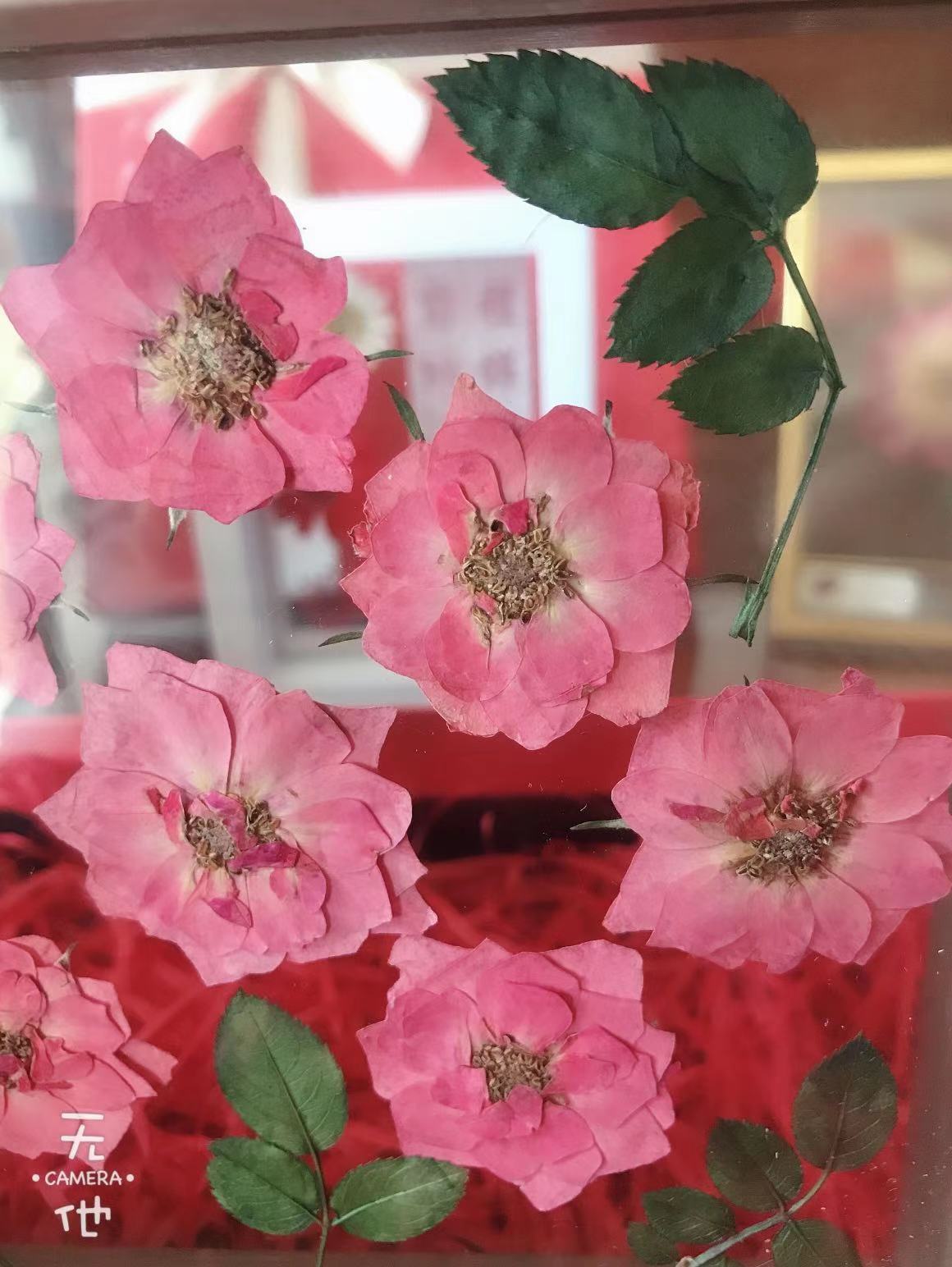 进口厄瓜多尔红玫瑰干花压花相框植物标本情人节礼物干花