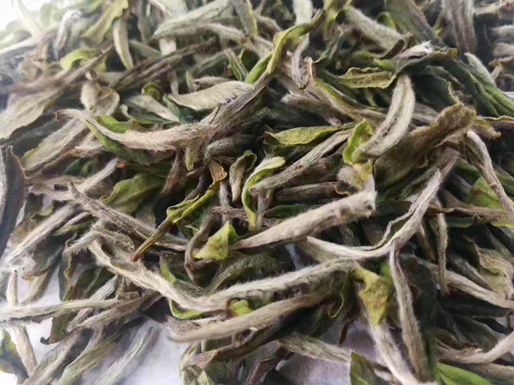 长龙茶叶福鼎白茶长龙臻国色白牡丹2020年头采荒野散白茶包邮