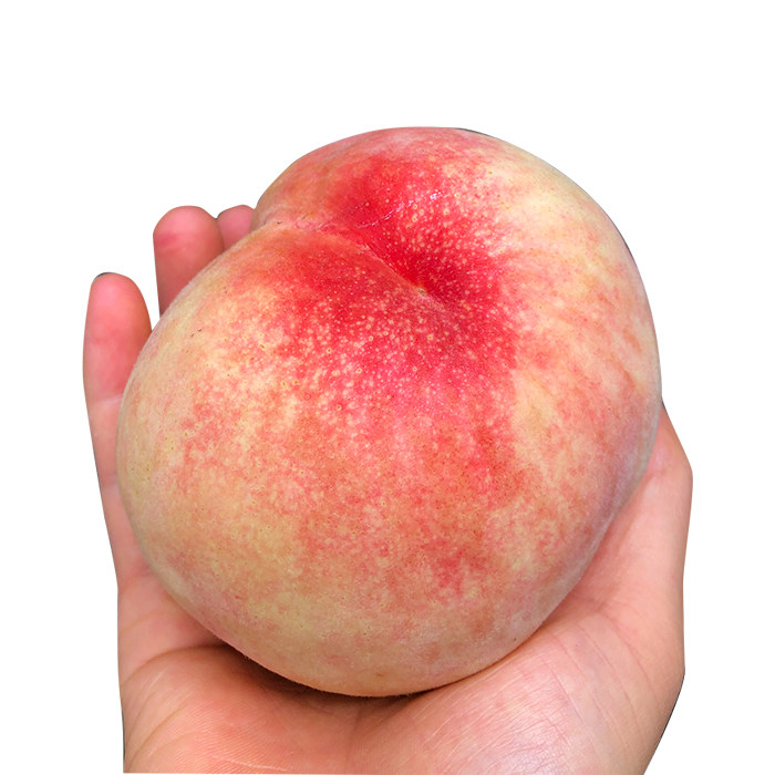 煨灶正宗凤桥三星水蜜桃湖嘉兴市区12个装顺丰包邮桃