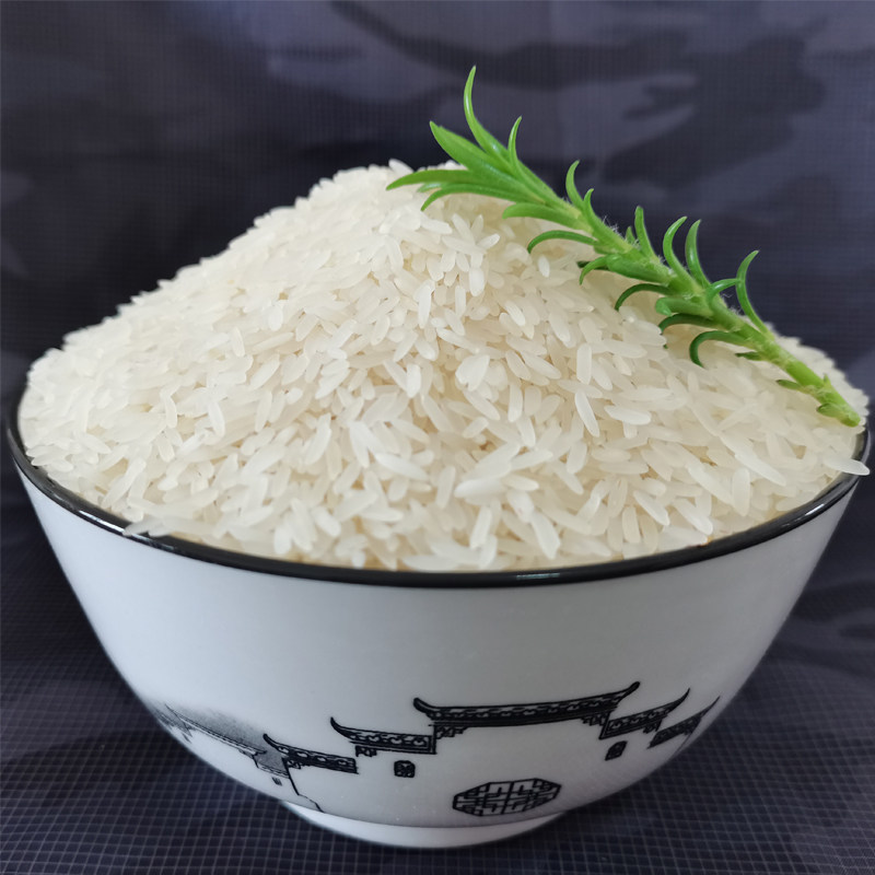 广西上林象牙九七香米长粒米农家大米晚稻新米大米
