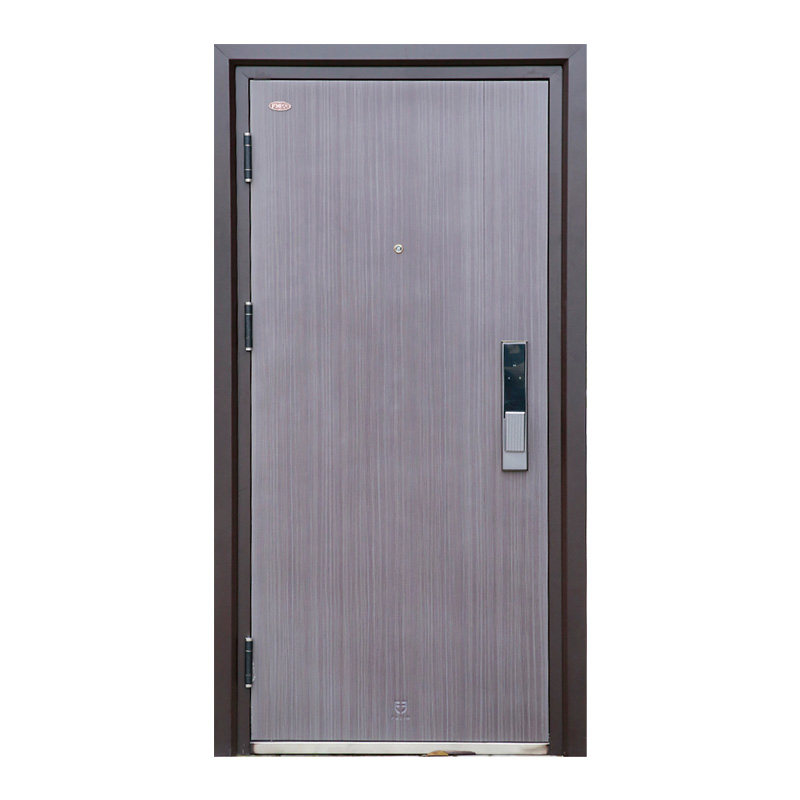 大品牌富新泰元甲级防盗门进户门入户门极简高级灰平板防盗门