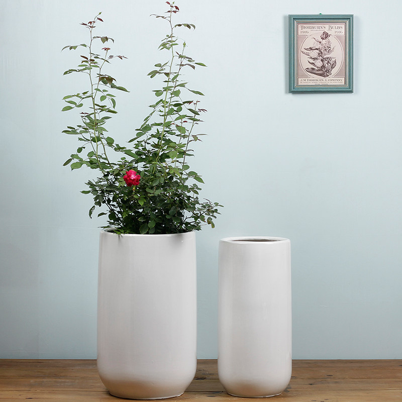 白色独家特色大师设计高圆柱圆柱大肚子极简陶瓷花盆