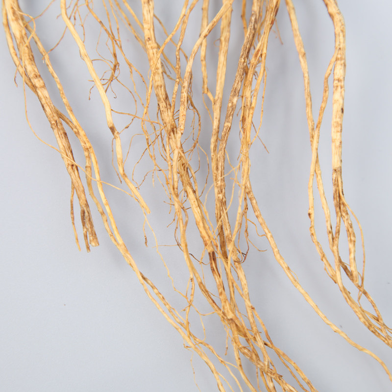 阳参特大野山稀有精参单支重量40克以上灵参山参