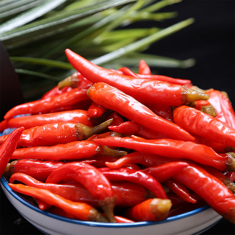 红泡小米四川老坛泡菜红椒辣椒朝天野山凤爪腌制