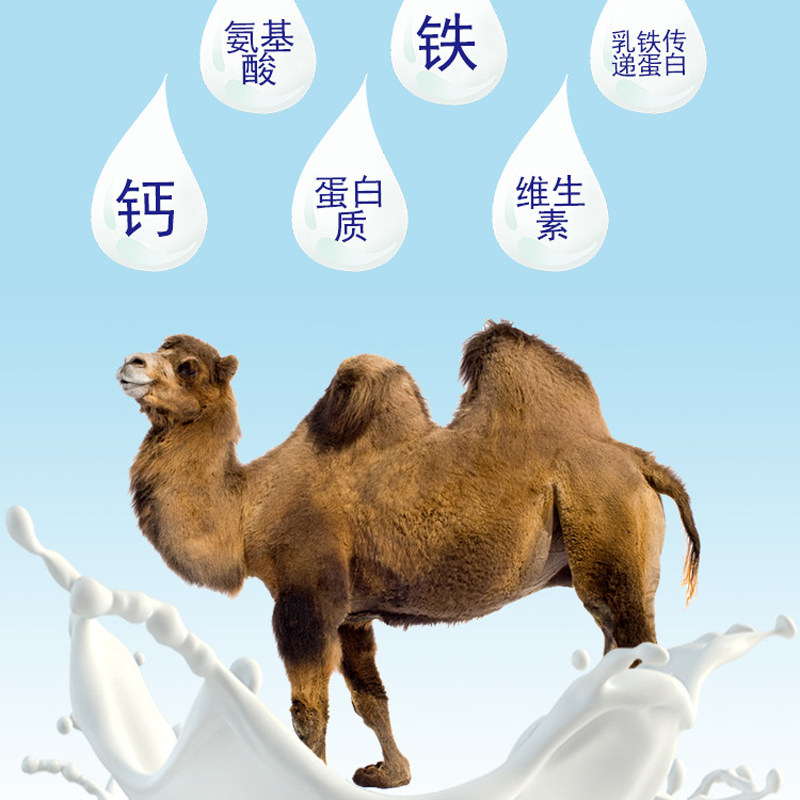 高钙益生菌骆驼奶粉蛋白质粉驼奶中老年人袋装新疆正宗纯官网正品