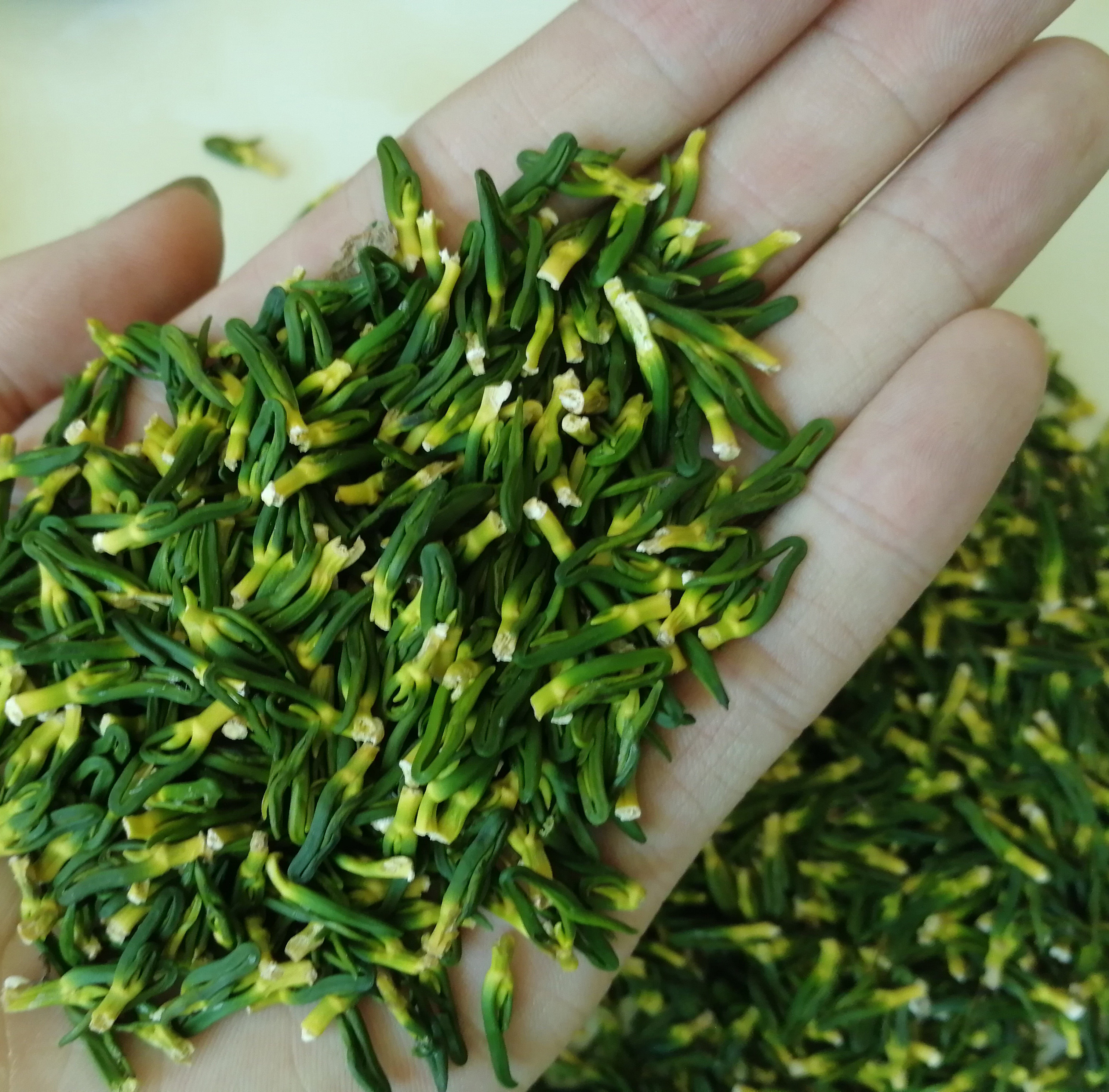 农家优质克包500g清心泡茶精品莲心新鲜子心莲子