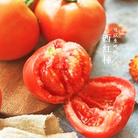 陕西普罗旺斯番茄水果当季沙瓤西红柿新鲜