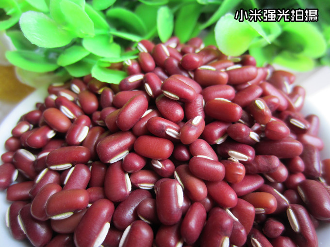 小豆正宗500g包邮精选农家家产长粒长形赤豆红豆