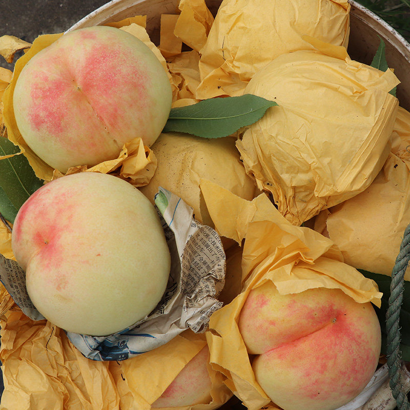 超甜上海南汇水蜜桃大团蜜露桃子5两12只现摘桃