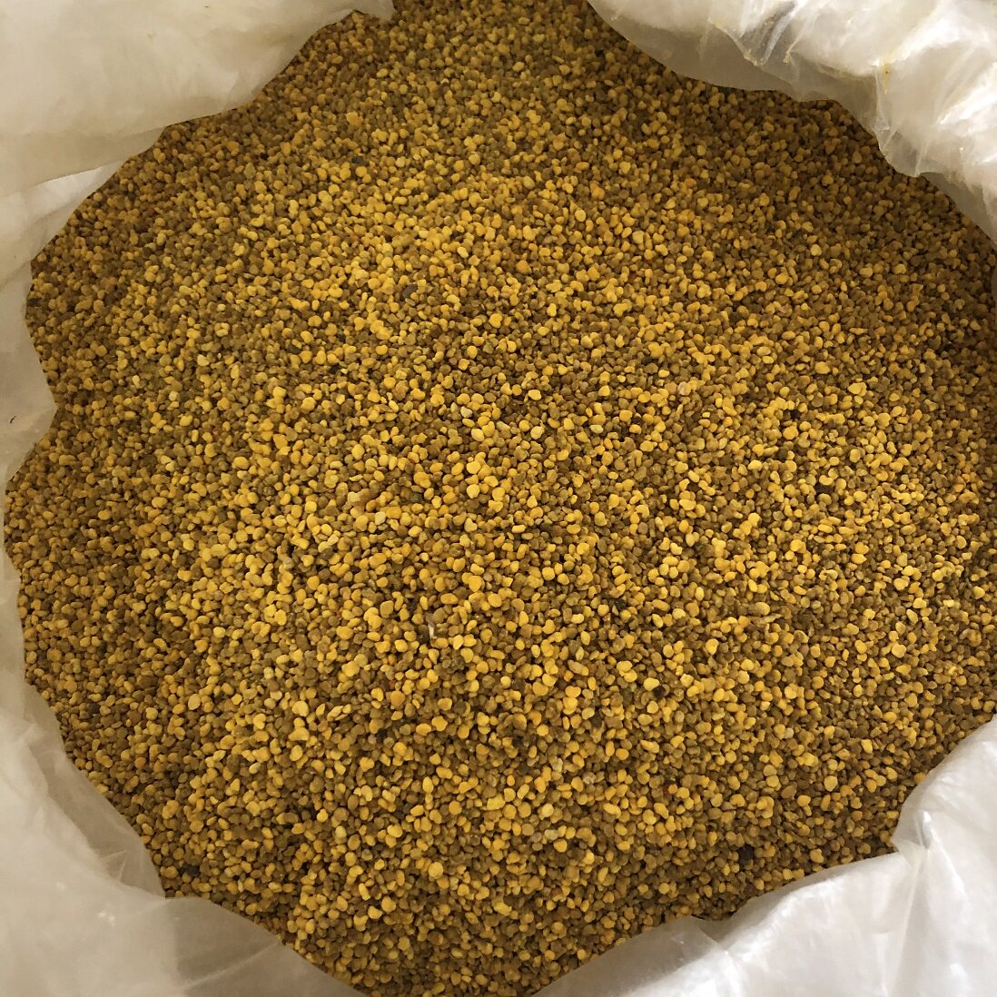 玉米花粉杂花粉喂蜂花粉自然晒干无需发酵消毒直接泡水饲喂