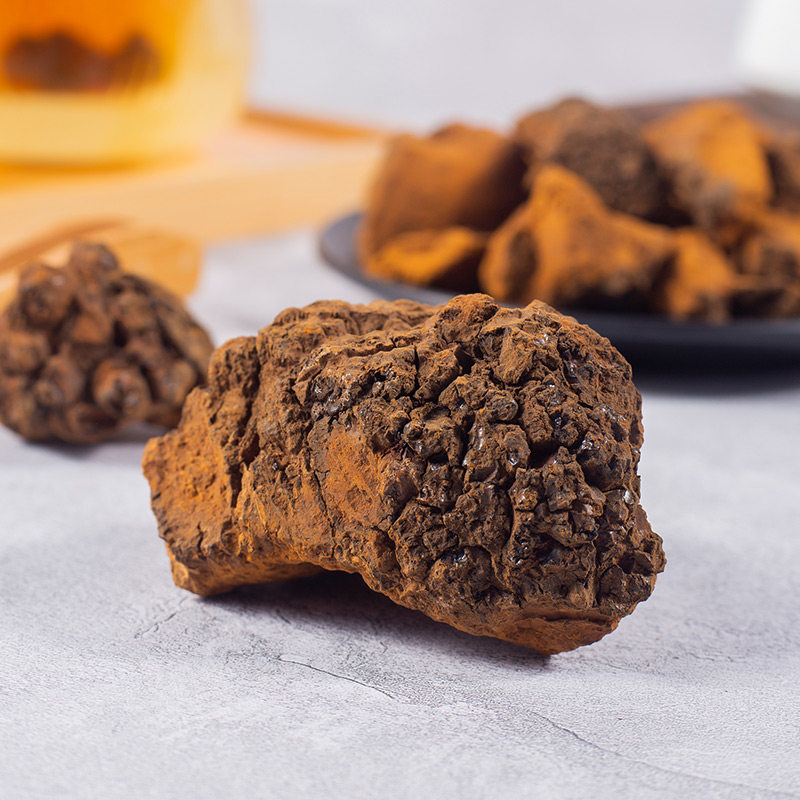 桦树野生正品500g一斤天然俄罗斯进口桦褐孔菌茶其他药食同源食品