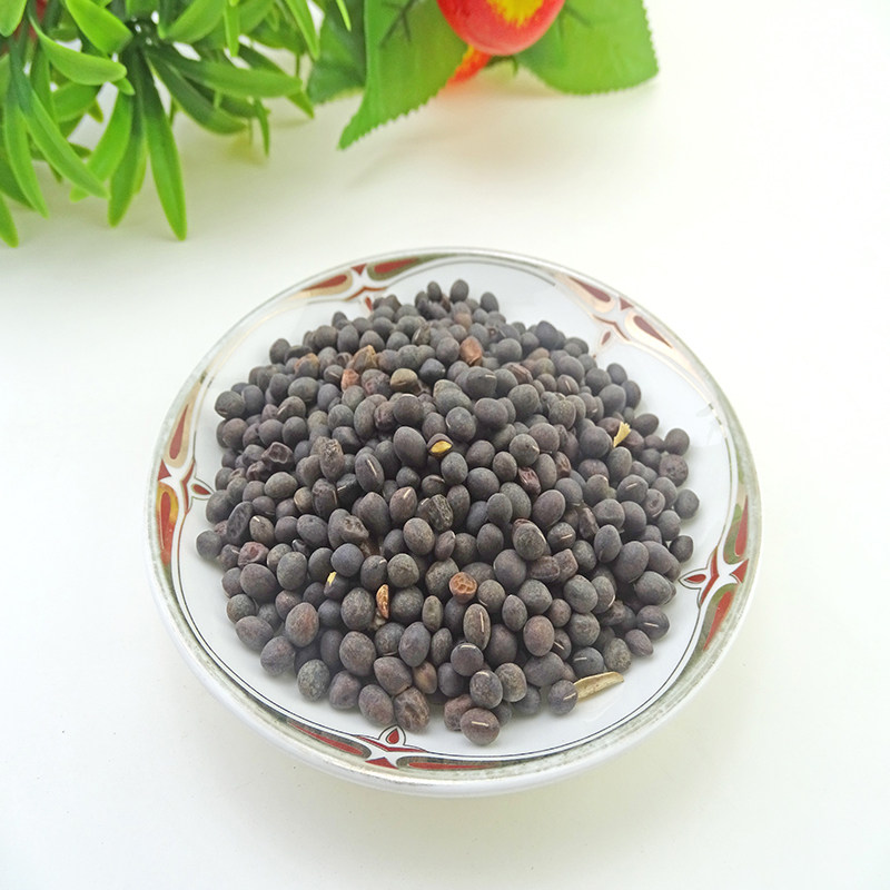 天然野料马料豆零乌稽豆细小小黑料豆纯新新货其他药食同源食品