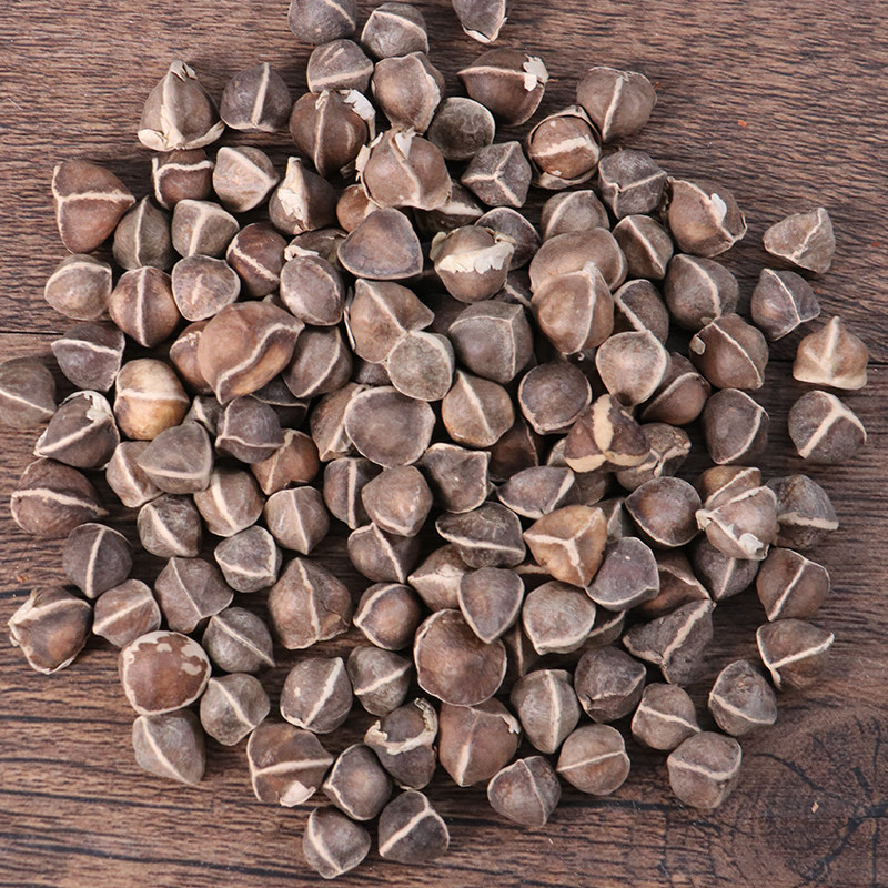 辣木籽500克野生辣木籽天然纯非印度进口辣木子非特级散装辣木子