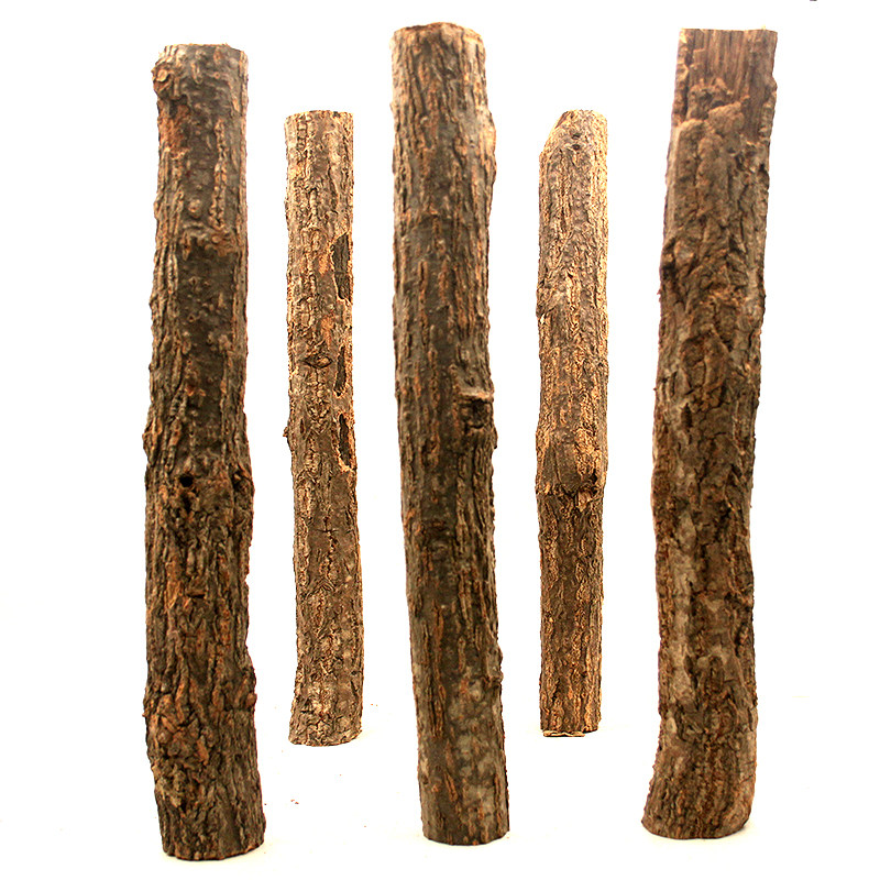 造景香槟树干森林树桩雨林水草鱼缸水族天然造景