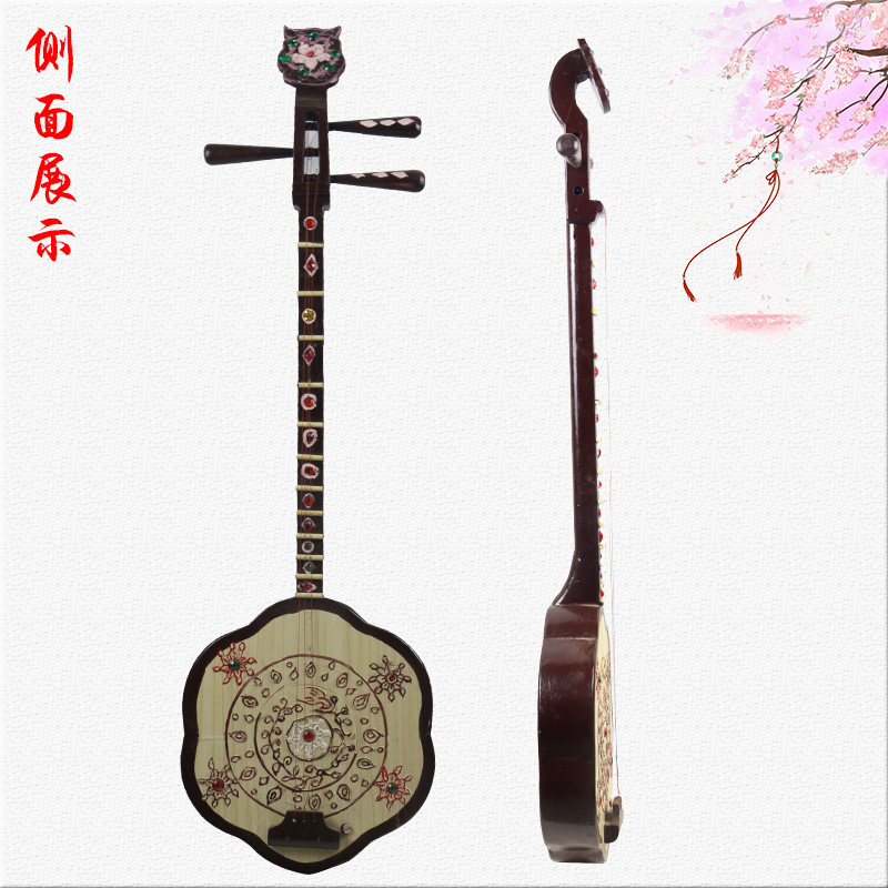 梅花秦琴道具硬木二弦客家山歌潮州音乐琴非秦琴