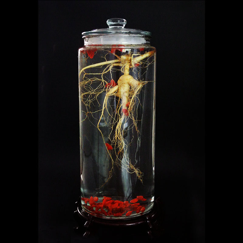 人参 野山参新鲜人参东北长白山人林下参15年参龄林下参泡酒人参