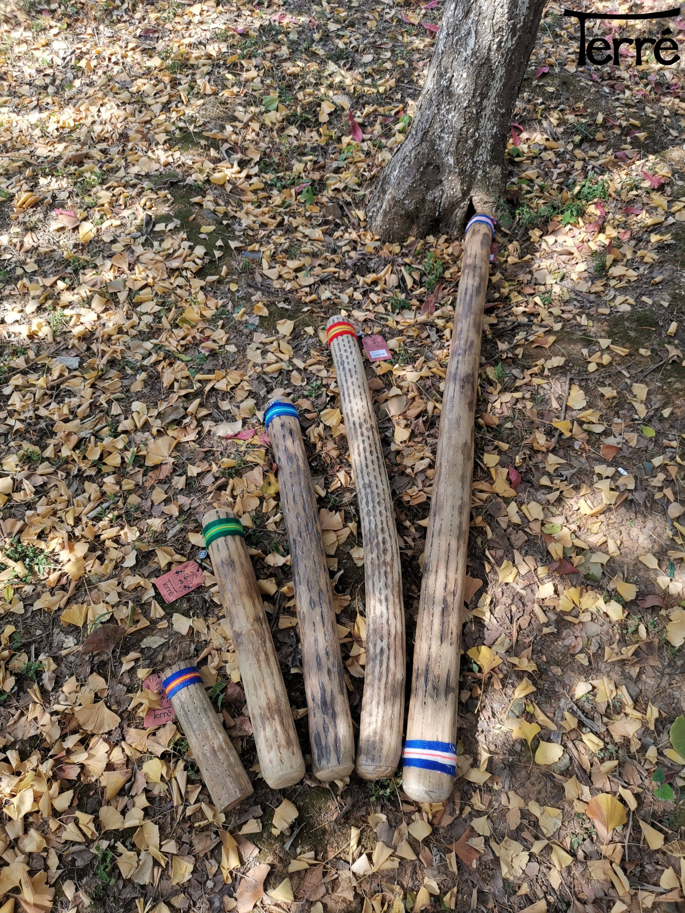 德瑞terre仙人掌雨棒雨棍rainstick南美民族乐器其它西洋乐器