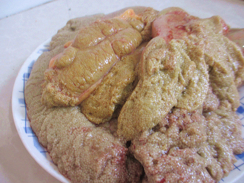 鱼籽有鱼鲫鱼白鲫鱼泡鱼另有新鲜鱼子酱鱼蛋鱼卵淡水鱼类