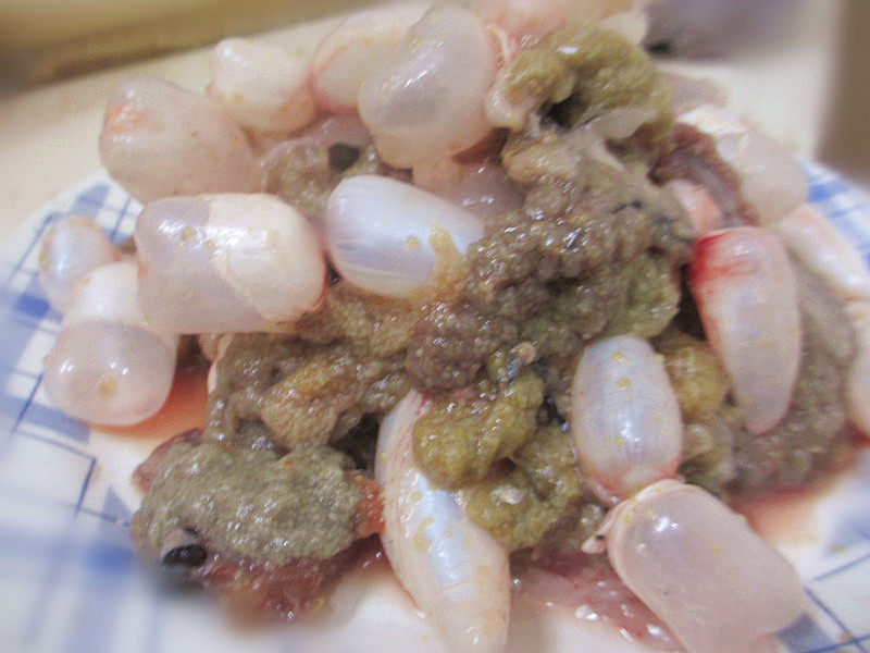 新鲜鲫鱼鱼籽微山湖纯野生鲫鱼鱼籽新鲜鱼卵鱼蛋当天活鱼现杀现取