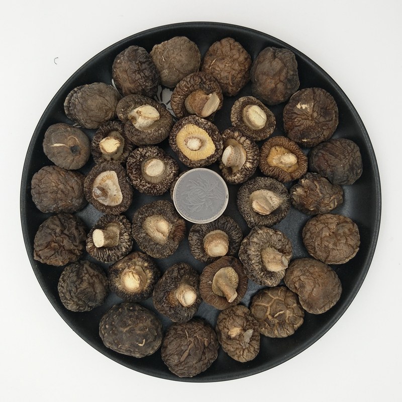 小香菇干货珍珠菇500g包邮农家冬菇特级小蘑菇商用散装香茹金钱菇