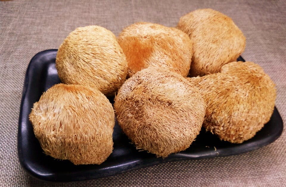 韶关特产猴头胃好广东老火靓汤家常煲汤汤料猴头菇