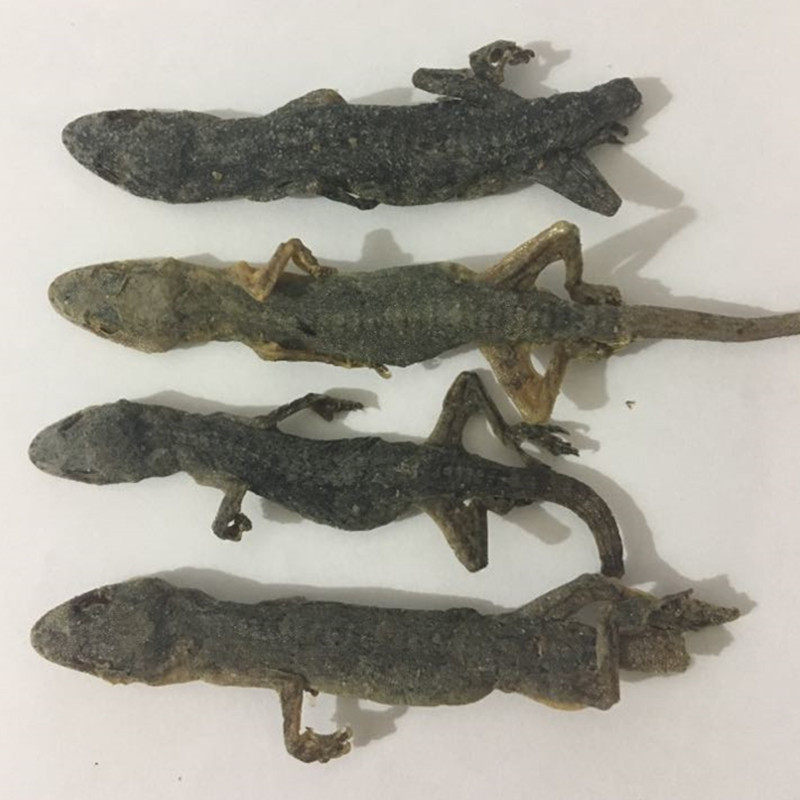 壁虎中药材 天龙壁宫 壁虎干 药用守宫 完整可打粉100克 包邮