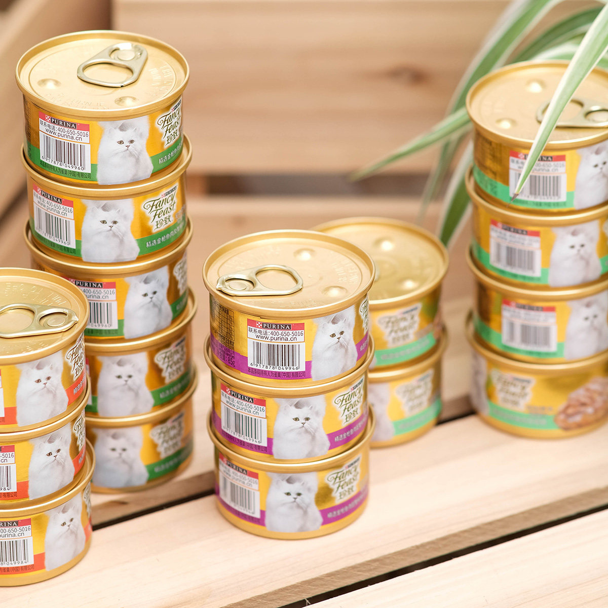 原装进口雀巢珍致罐头零食猫咪主食罐成幼湿营养猫零食罐