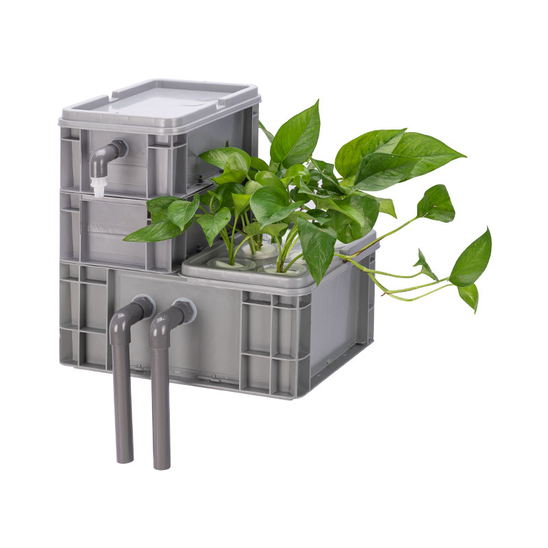 水培植物自制diy周转箱乌龟鱼缸上置滴流过滤器外置生态过滤系统