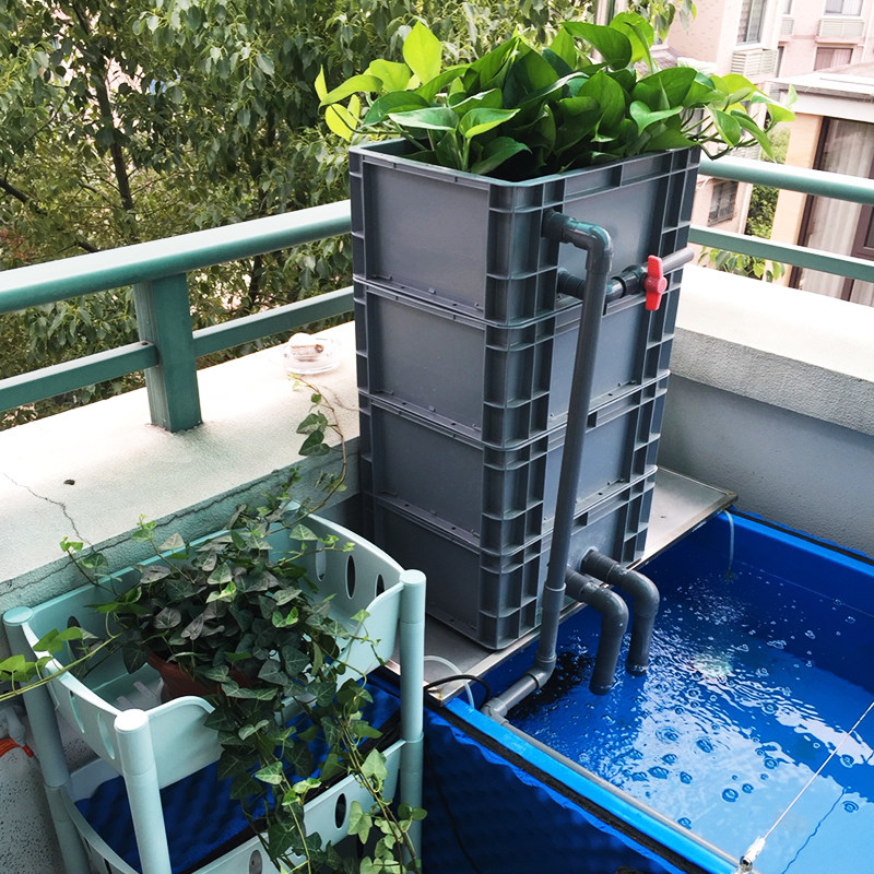 沉淀款加厚自制周转箱过滤箱锦鲤金鱼鱼缸鱼池上置滴流盒过滤器