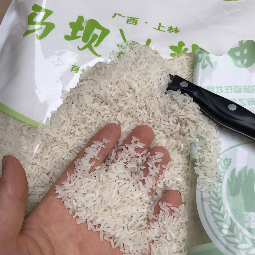 马坝油粘米10斤广西西上林农家米抛光香米长粒大米