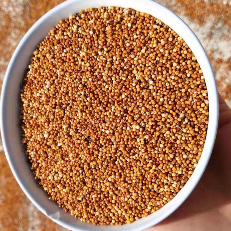 粟米广西鸭脚拳头粟红米粉农产品自家龙爪粟粉面粉