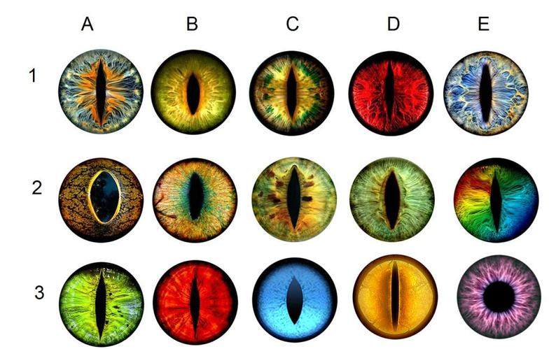 dragon加拿大代购手作特别复古哥特艺术蛇眼皮革戒指