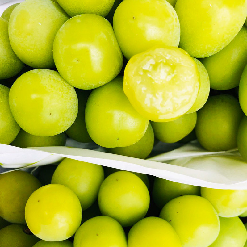 品种新款包装阳光玫瑰香甜日本匠心极青提子葡萄