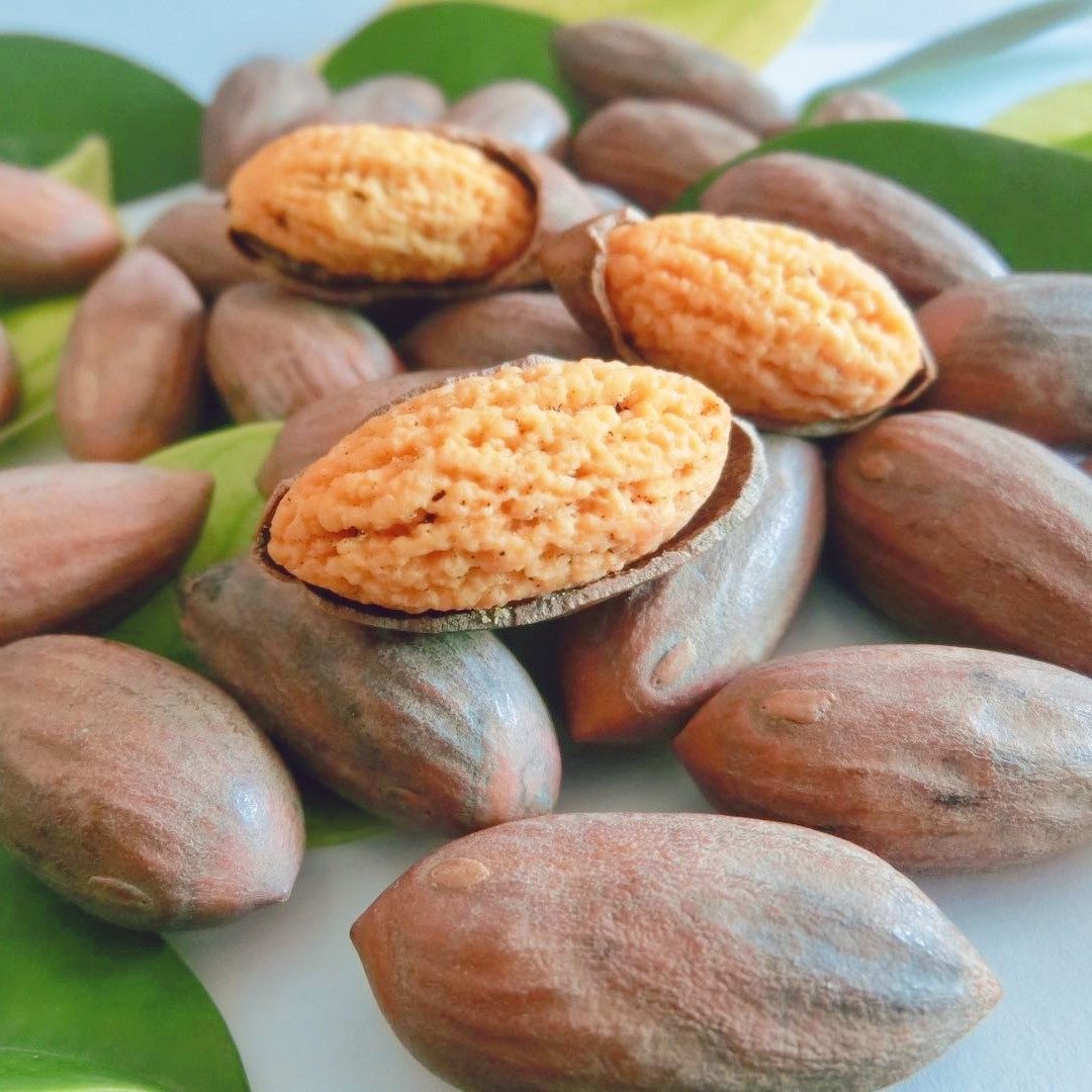 香榧2021年枫桥西垣东阳圣果果香绍兴礼盒浙江香榧