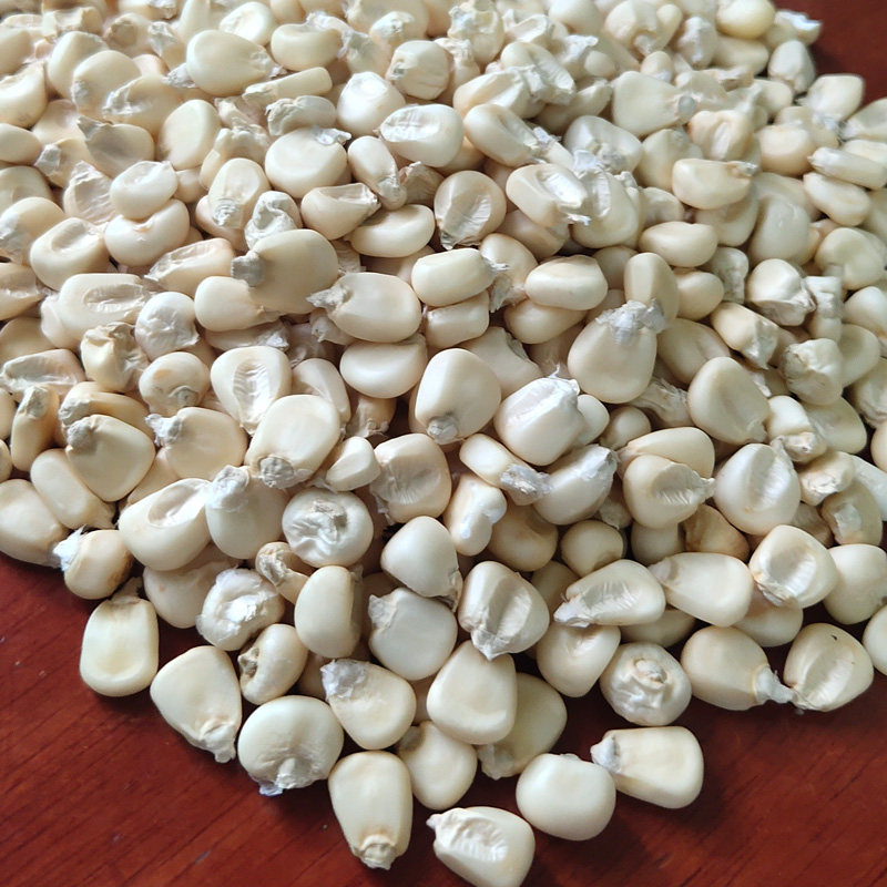 广西白糯玉米粒干货脱壳带皮整粒晒干玉米糖水玉米