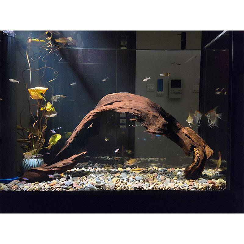 天然沉木柚木鱼缸造景异形躲避树洞深水乌龟造景