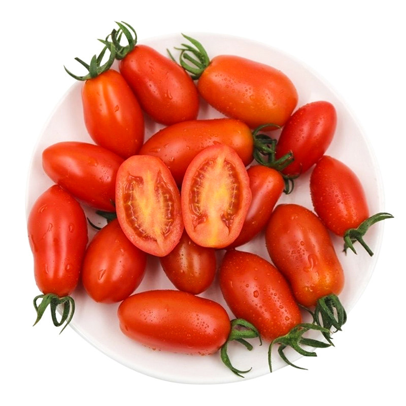 花生柿子种子超甜圣女果樱桃番茄种籽阳台四季家庭园艺种子