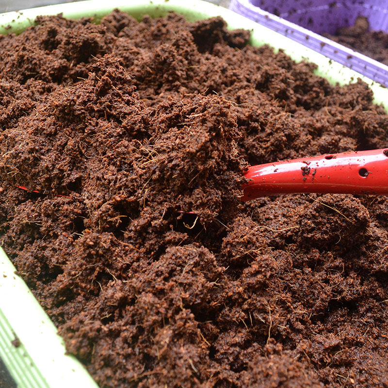 印度进口大块椰砖椰土椰糠种花种菜多肉无菌种植土营养土肥料包邮