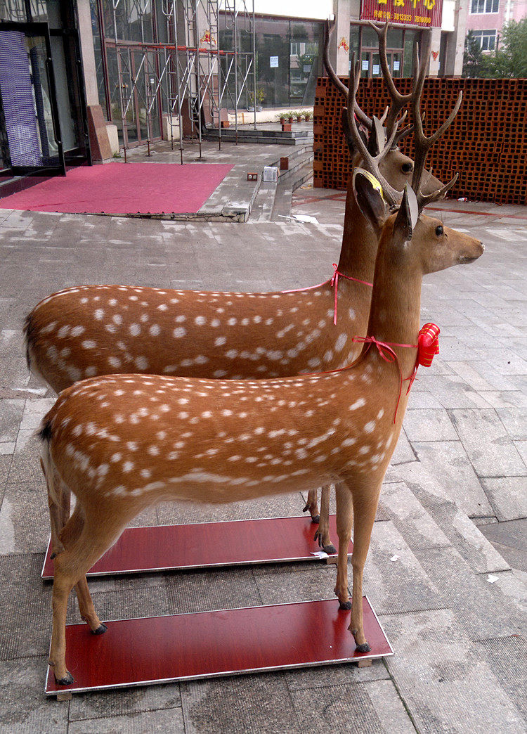 标本益丰参茸梅花鹿真皮真角站立式店面招牌大鹿摆件