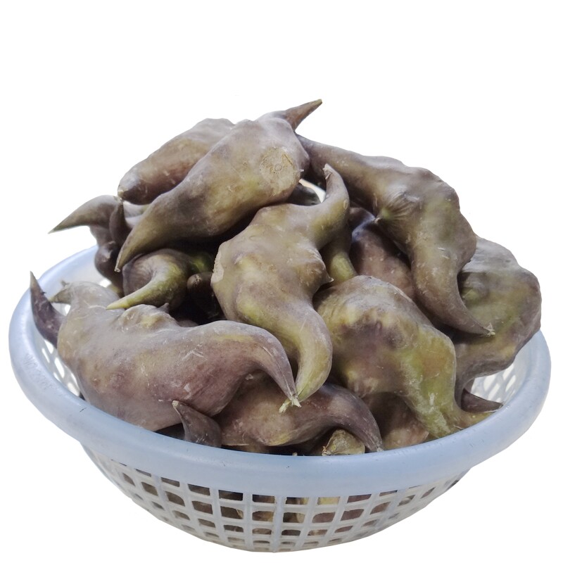 湖北洪湖野生菱角新鲜老菱果熟嫩棱角米带壳干青黑四角4斤装包邮