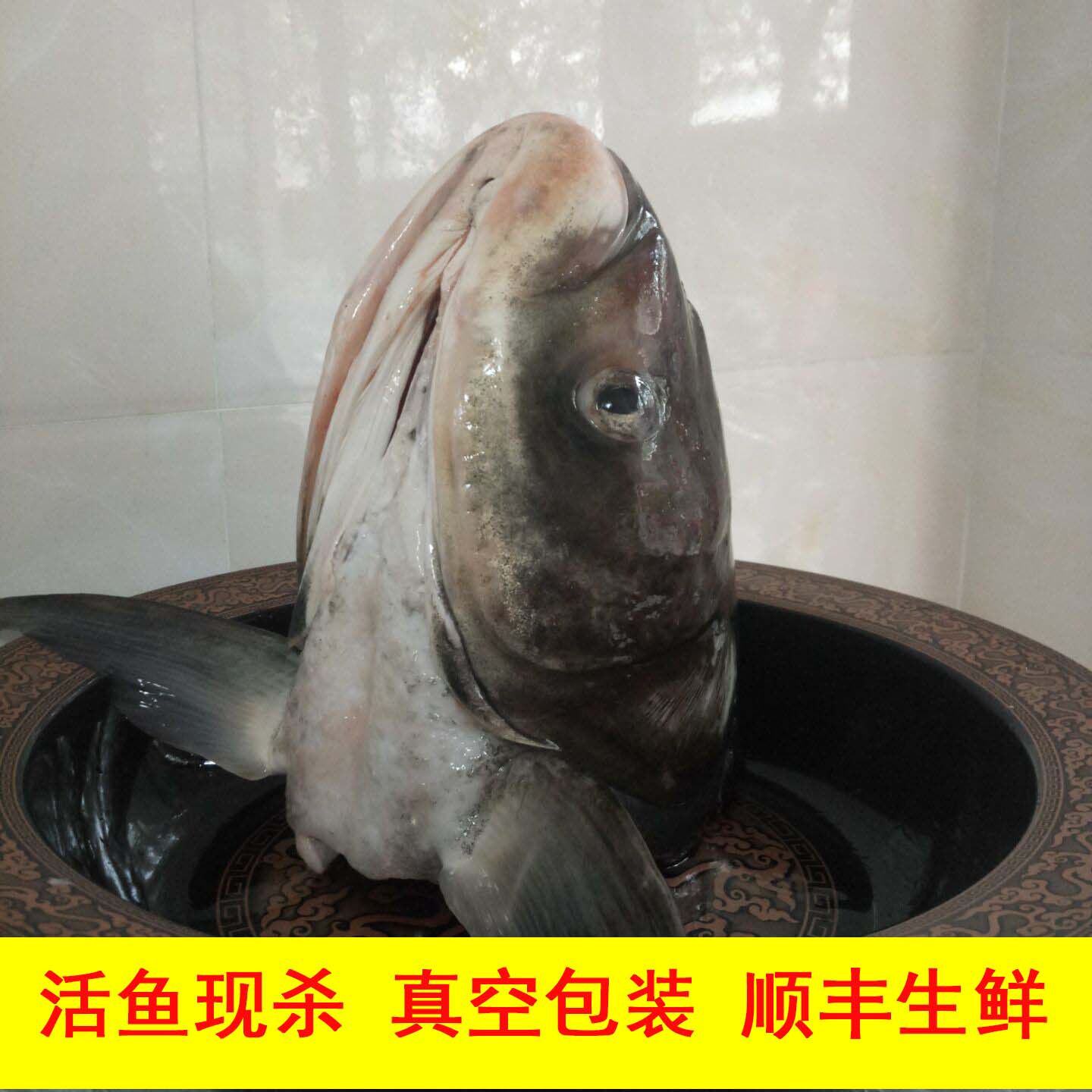 鱼头胖头千岛湖有机野生大鱼鱼花鲢鱼鲜活活鱼淡水鱼类