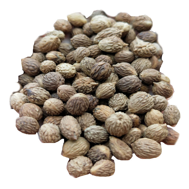 野生酸枣核原散珠论斤精选杂质野山枣核枣胡佛珠