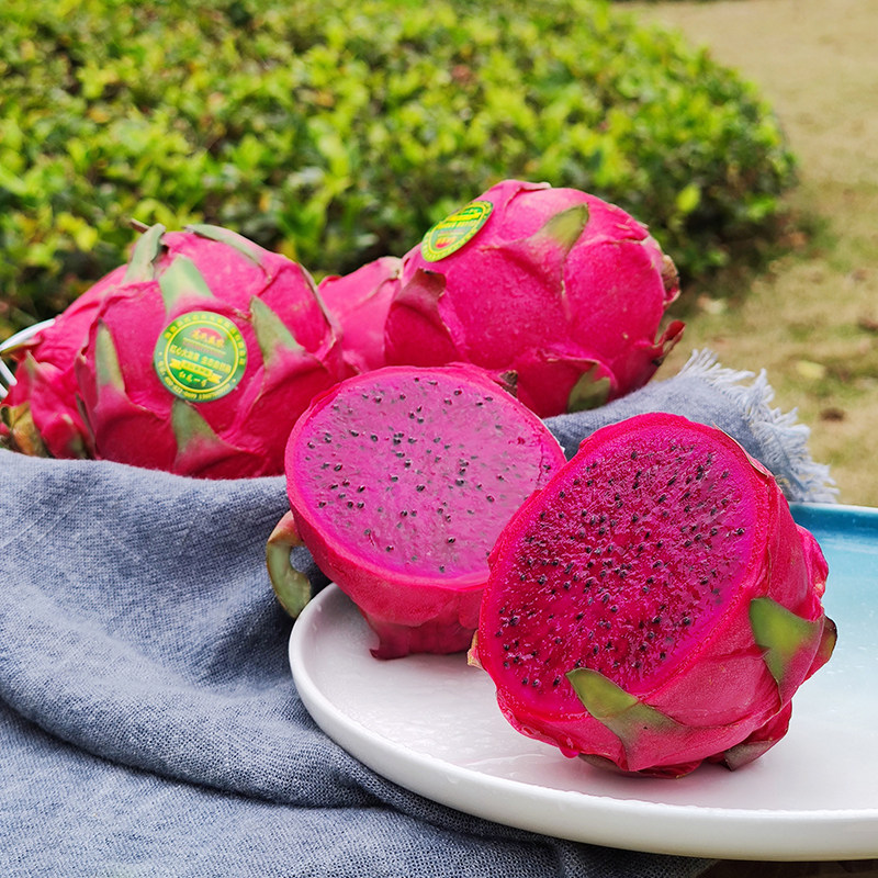 红心海南高氏益农蜜宝礼盒盒装10斤新鲜孕妇火龙果